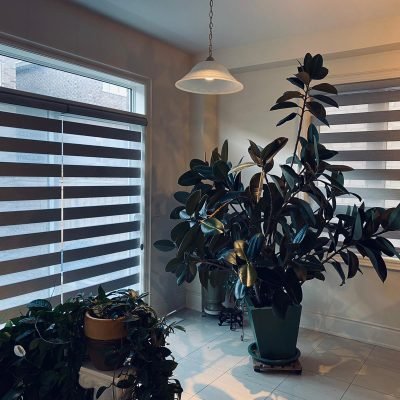 WhatsApp Image 2025-12-17 at 9.43.53 AM